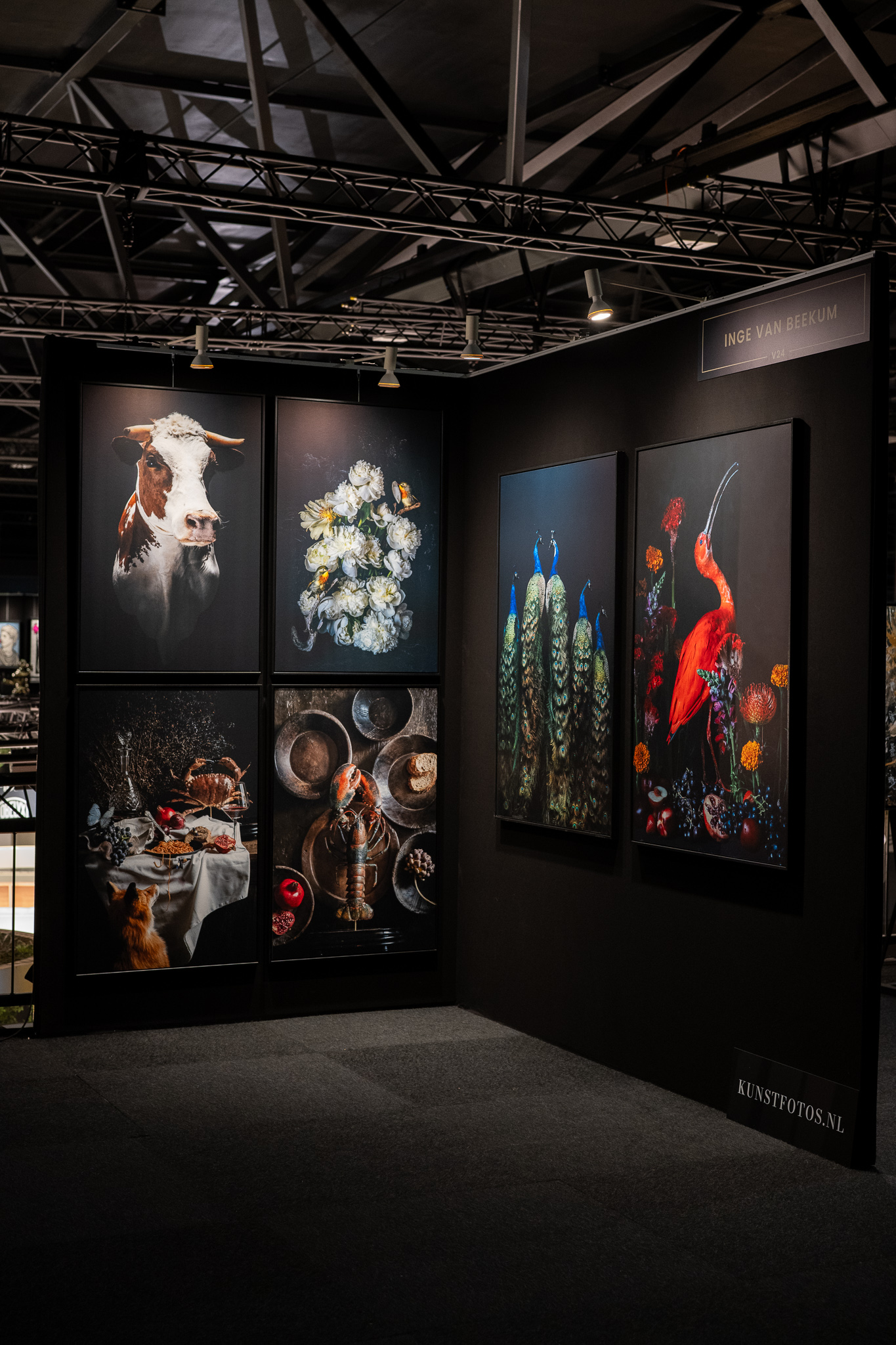 Kunstfotos.nl ingelijste werken expositie. 6 stillevens koe, vogels met witte pioenrozen, tafel met vos en krab, kreeftportret met houttinten, pauwen, kleurrijke ibis met bloemen. Copyright Inge van Beekum